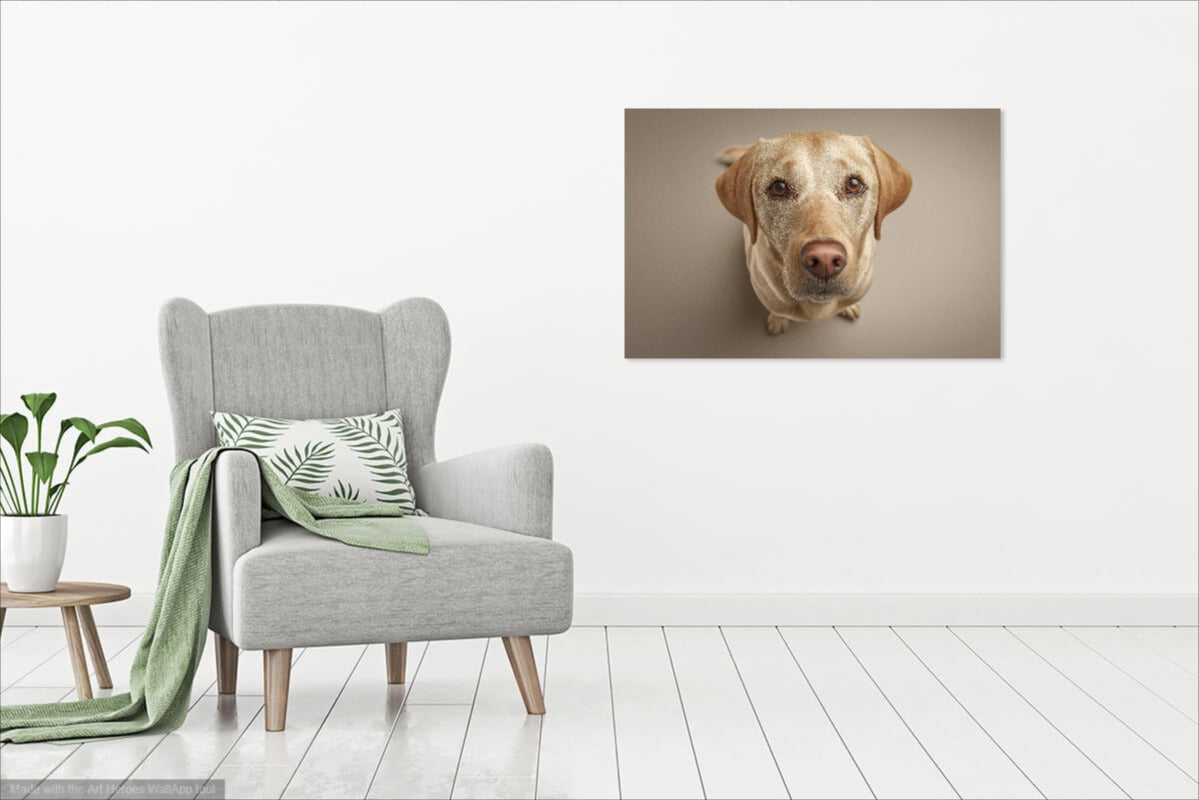 Fotorealistyczny Portret Żółtego Labradora – Obraz Do Nowoczesnego Wnętrza