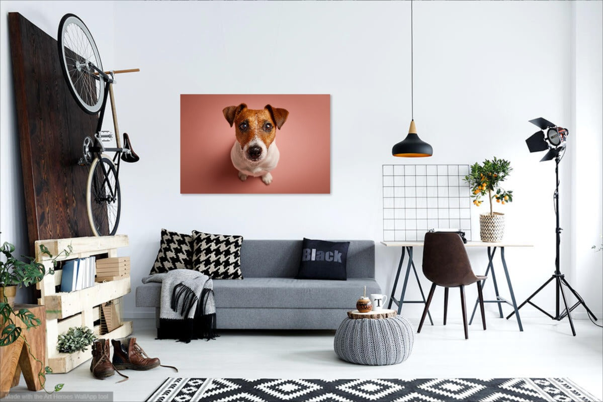 Jack Russell Terrier z Góry – Fotorealistyczny Portret Psa