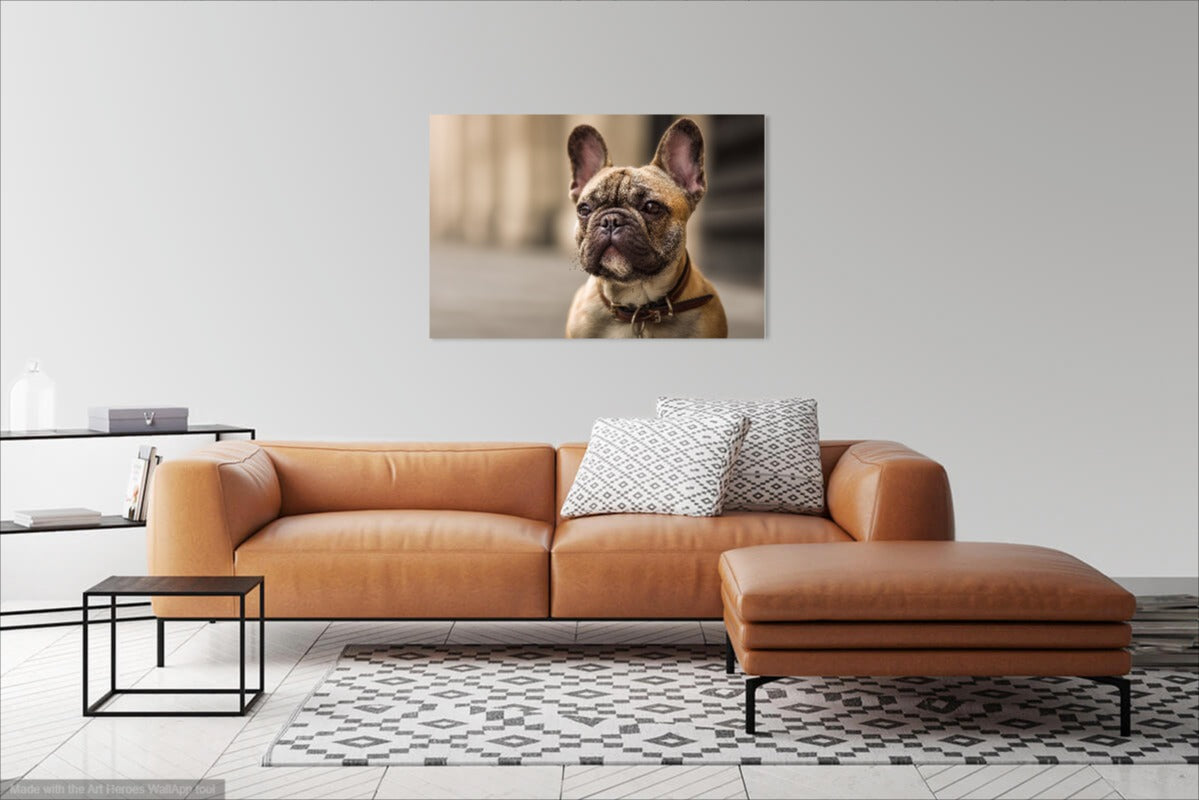 Klasyczny Portret Buldoga Francuskiego – Obraz do Wnętrz
