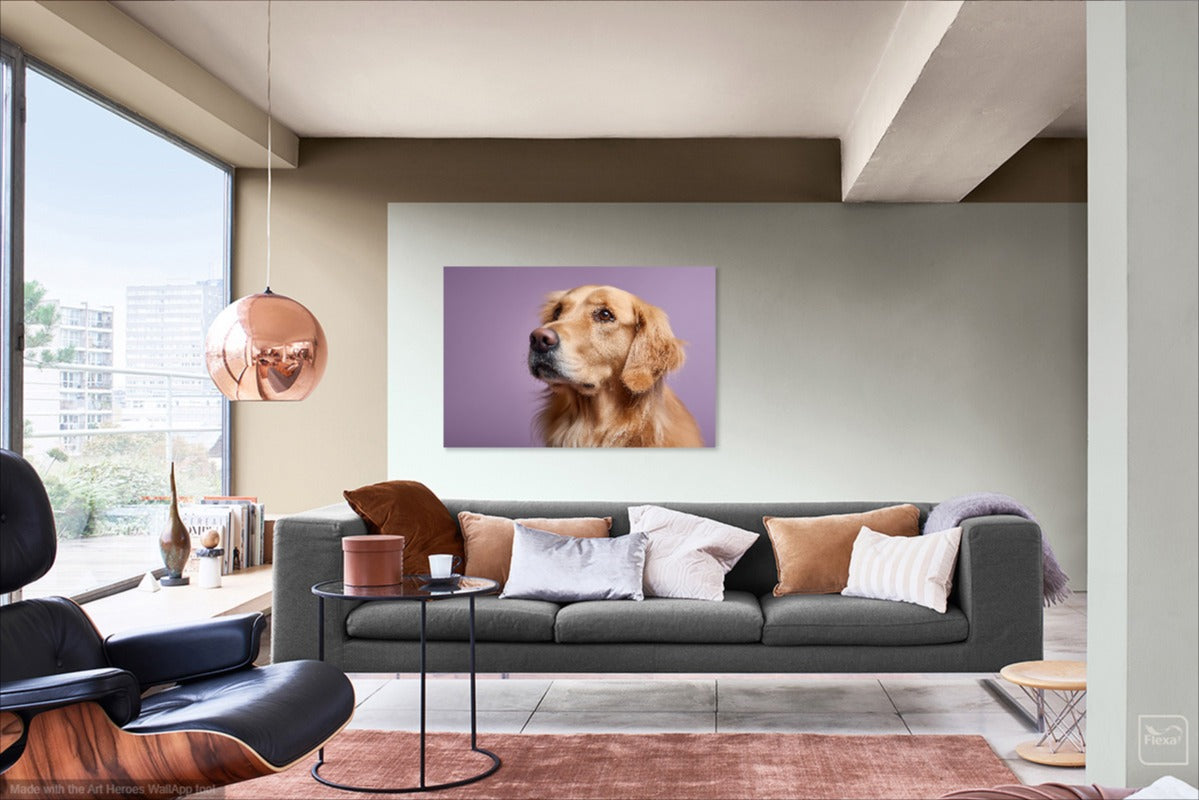Golden Retriever na Fioletowym Tle – Elegancki Portret Psa do Dekoracji Ściennej