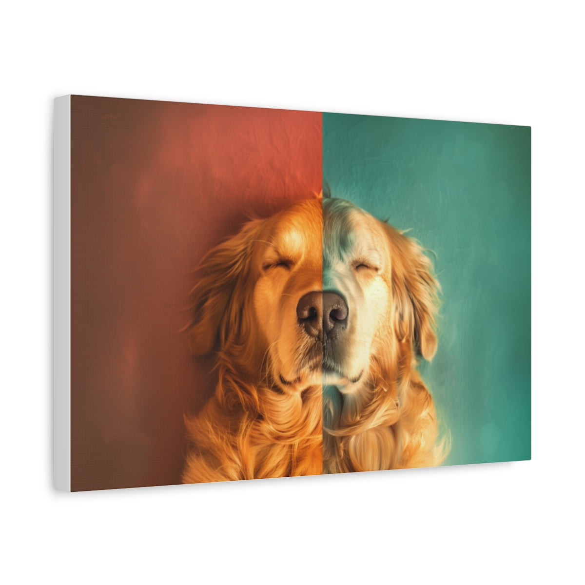 Artystyczny Portret Śpiącego Golden Retrievera - Obraz Na Ścianę