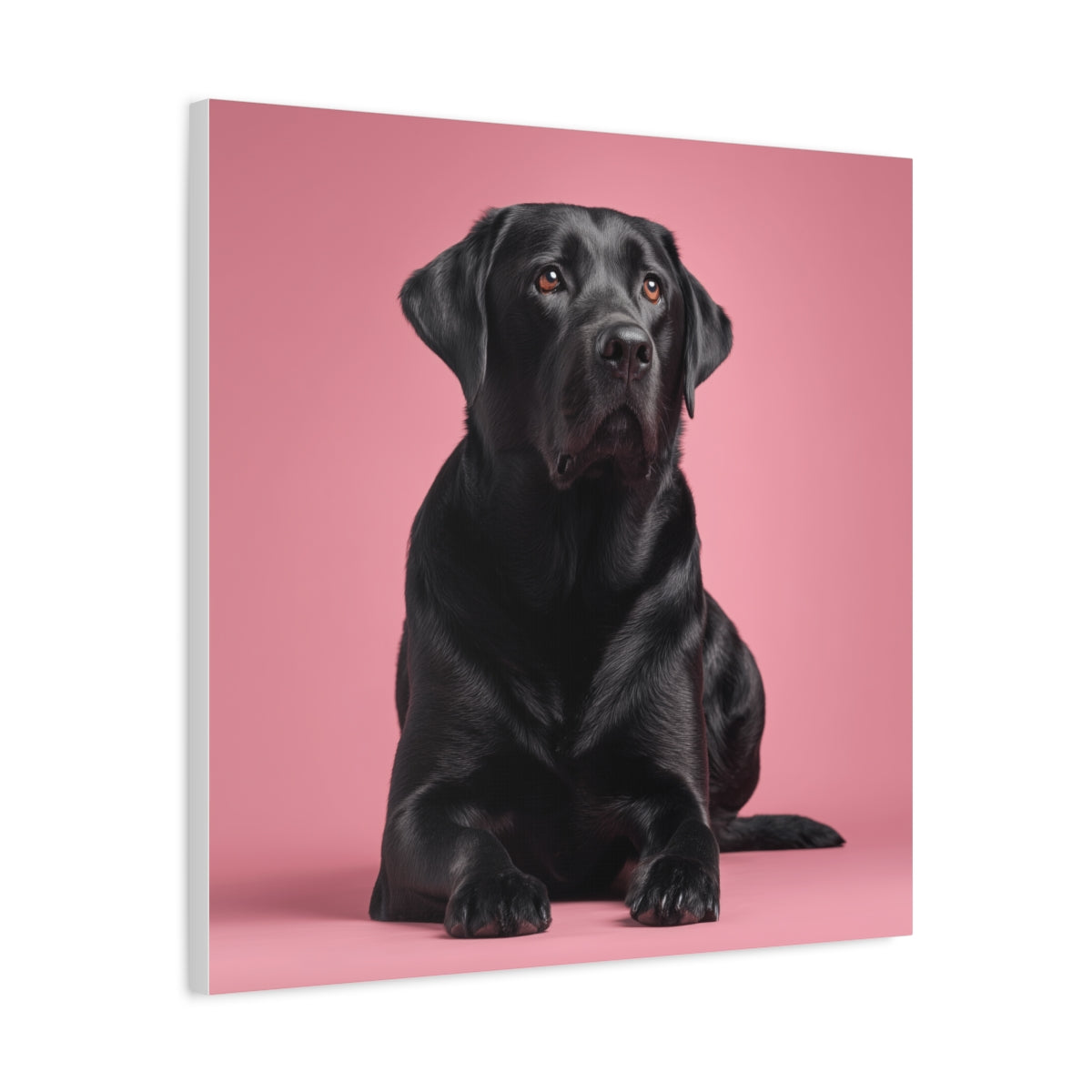 Czarny Labrador na Różowym Tle – Elegancki Obraz do Nowoczesnego Wnętrza