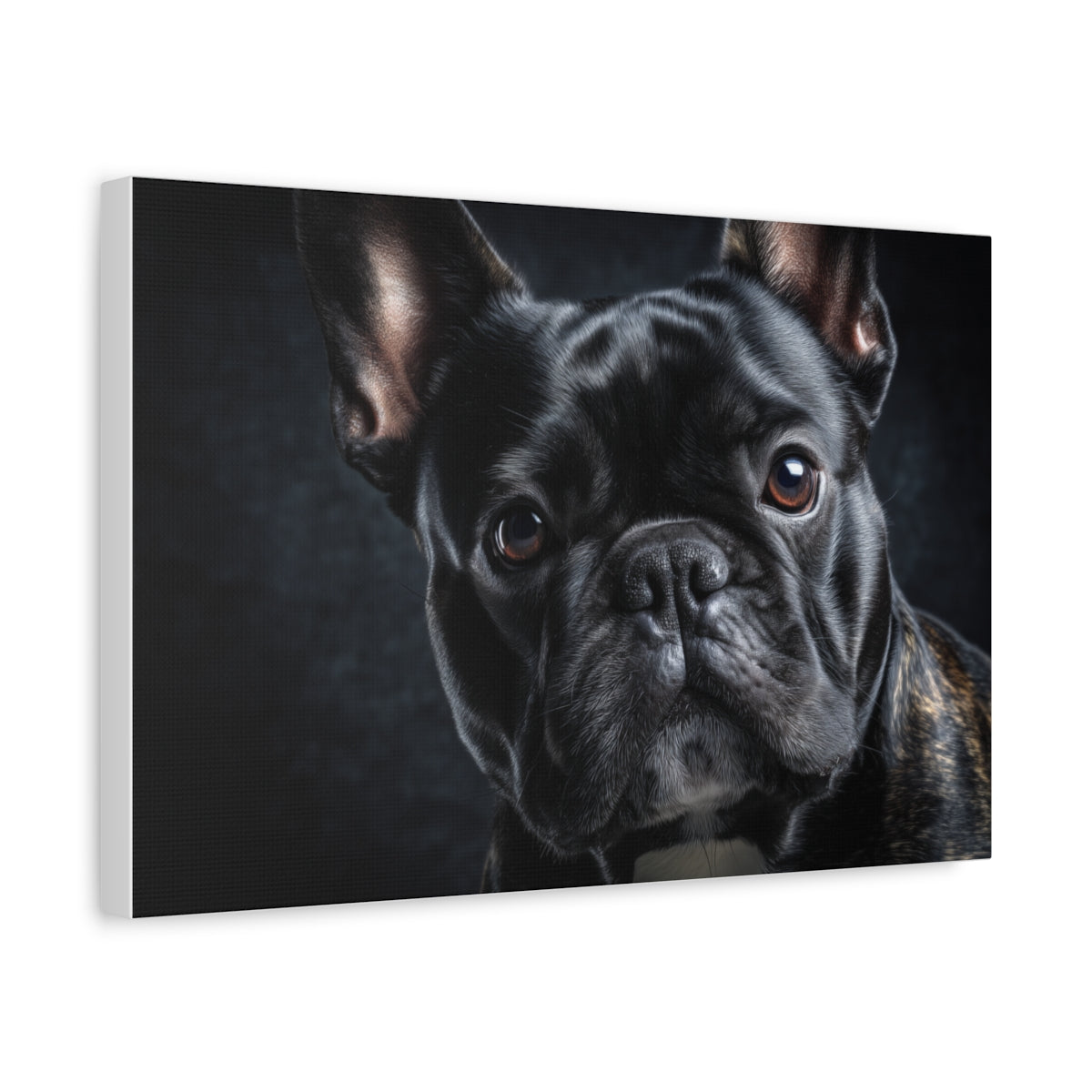 Czarny Buldog Francuski – Elegancki Obraz Na Ścianę