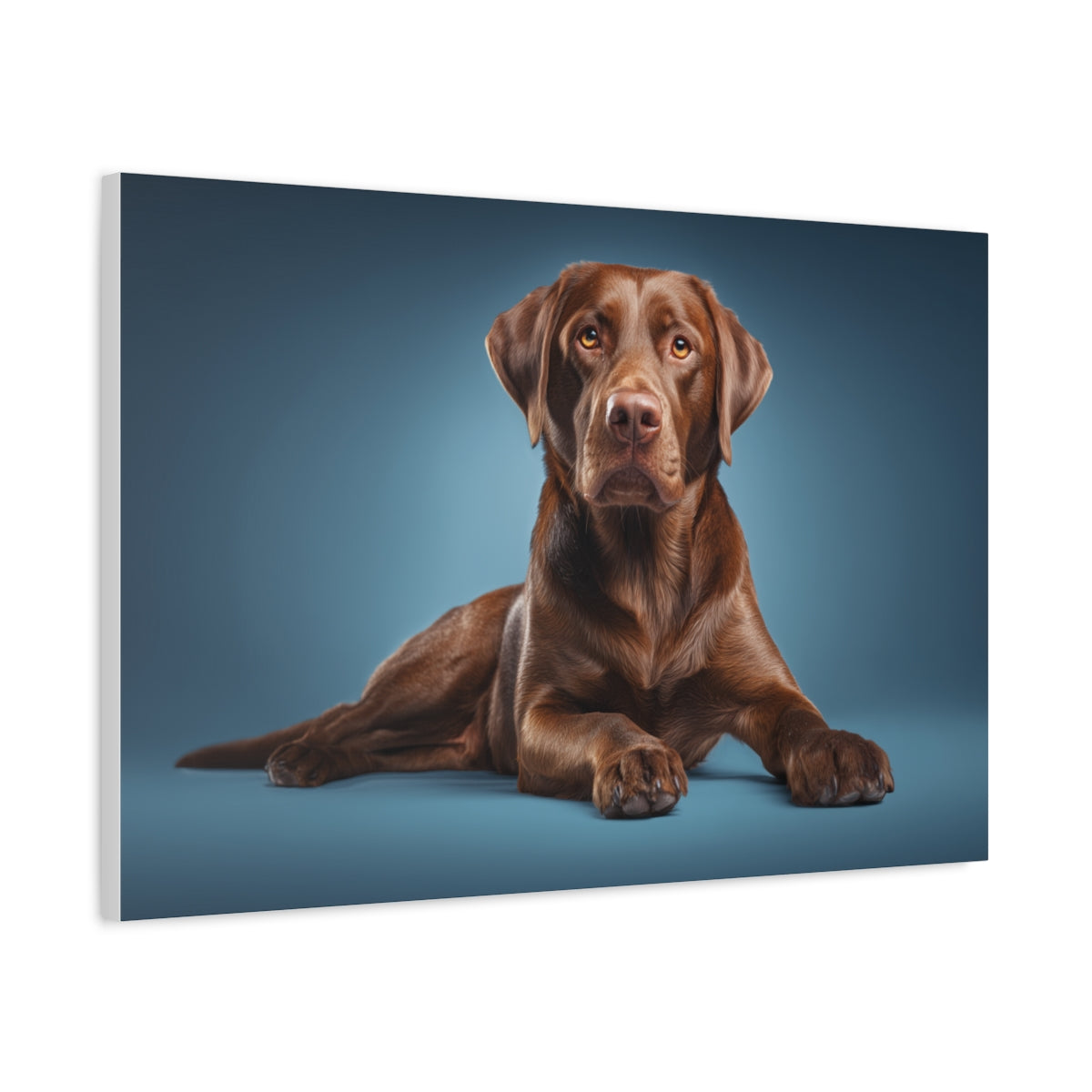 Czekoladowy Labrador na Błękitnym Tle – Dekoracja Ścienna z Psem