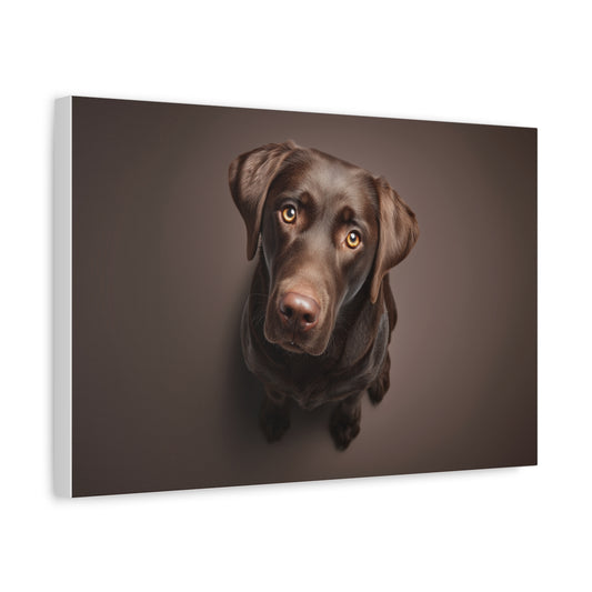 Czułe Spojrzenie Brązowego Labradora - Obraz Do Przytulnych i Nowoczesnych Wnętrz