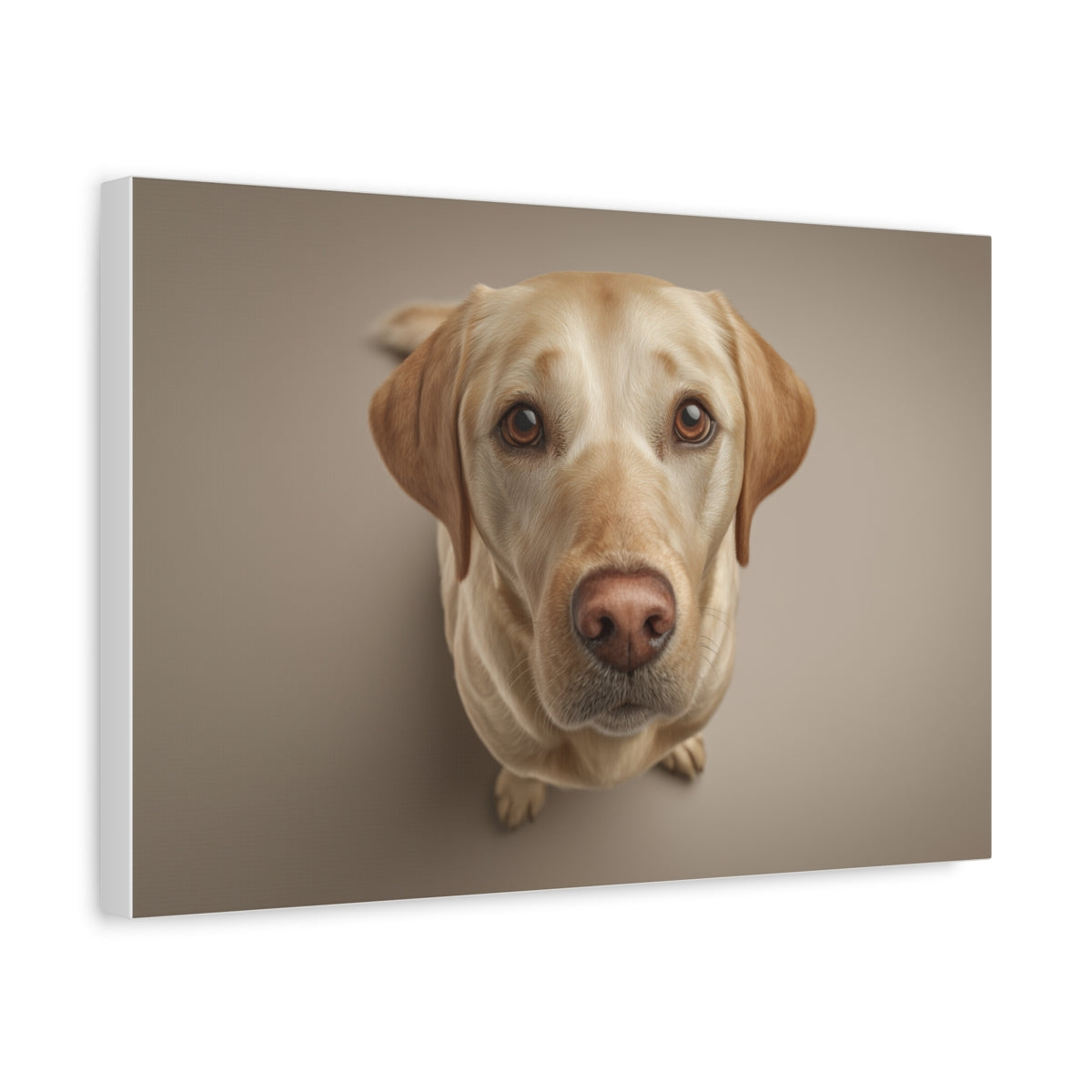 Fotorealistyczny Portret Żółtego Labradora – Obraz Do Nowoczesnego Wnętrza
