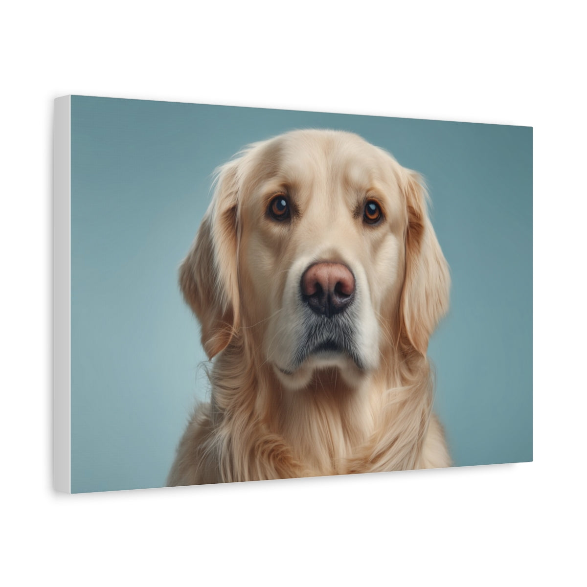 Golden Retriever Portret na Błękitnym Tle – Nowoczesny Obraz Psa do Dekoracji Wnętrz