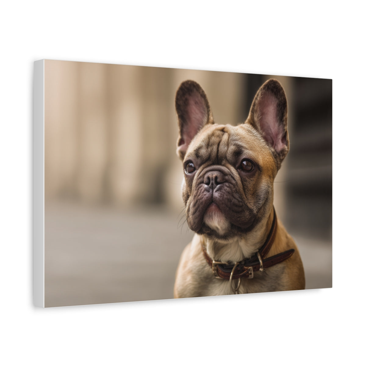 Klasyczny Portret Buldoga Francuskiego – Obraz do Wnętrz