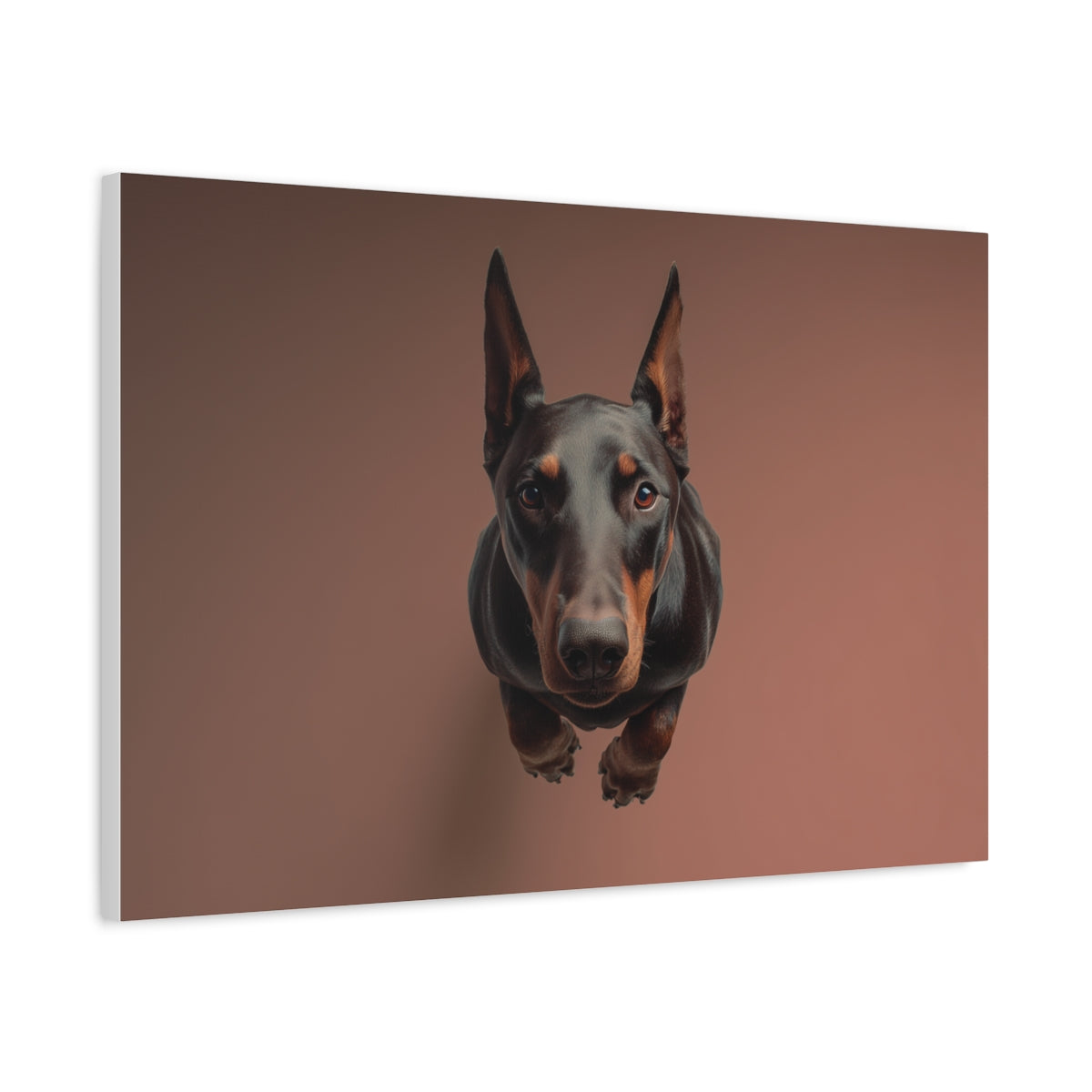 Portret Dobermana z Góry – Fotorealistyczny Obraz Ścienny