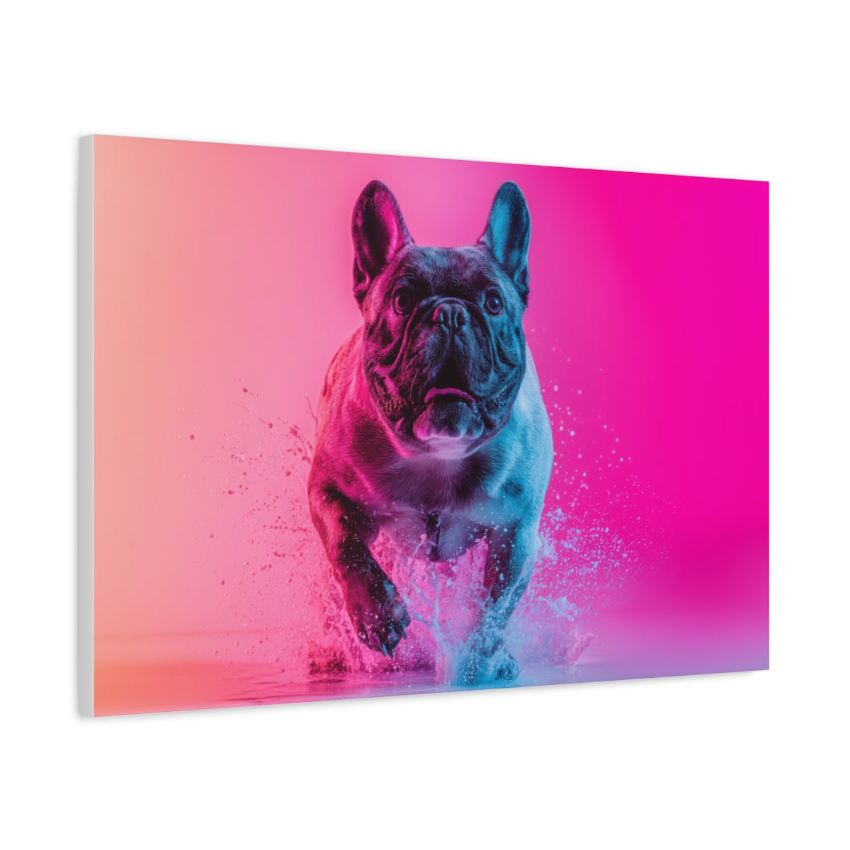 Splash Art Buldoga Francuskiego – Neonowy Obraz do Nowoczesnych Wnętrz