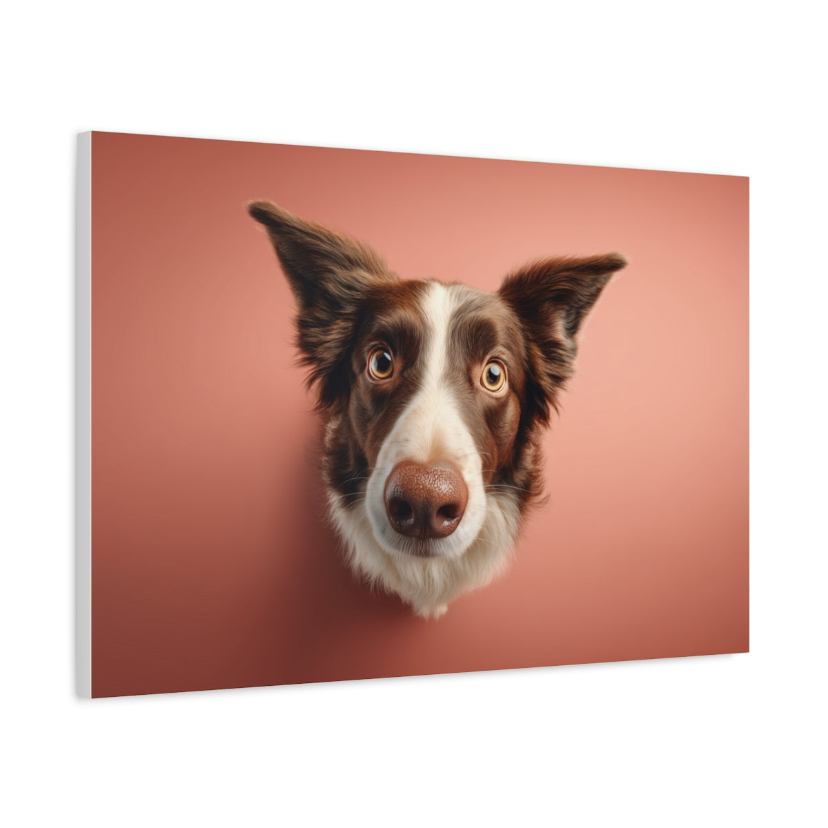 Spojrzenie Border Collie - Nowoczesny Obraz w Ciepłych Kolorach