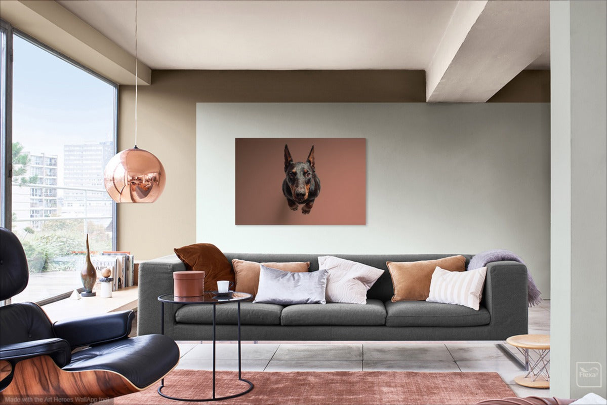 Portret Dobermana z Góry – Fotorealistyczny Obraz Ścienny