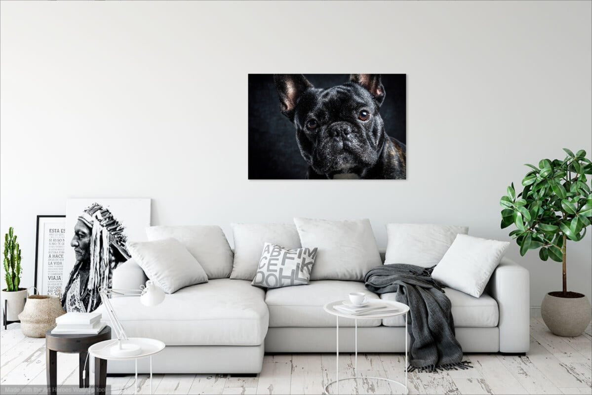 Czarny Buldog Francuski – Elegancki Obraz Na Ścianę