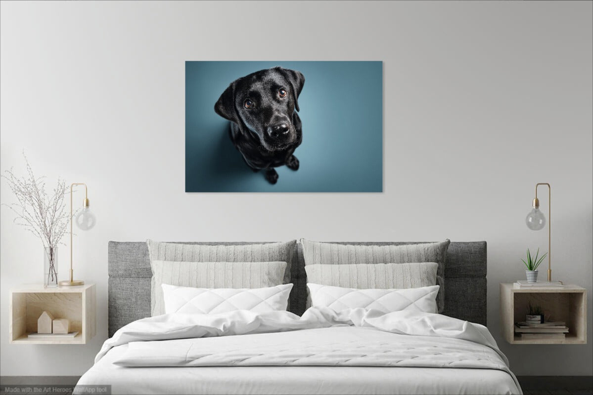 Fotorealistyczny Portret Czarnego Labradora – Wyjątkowa Dekoracja Ścienna