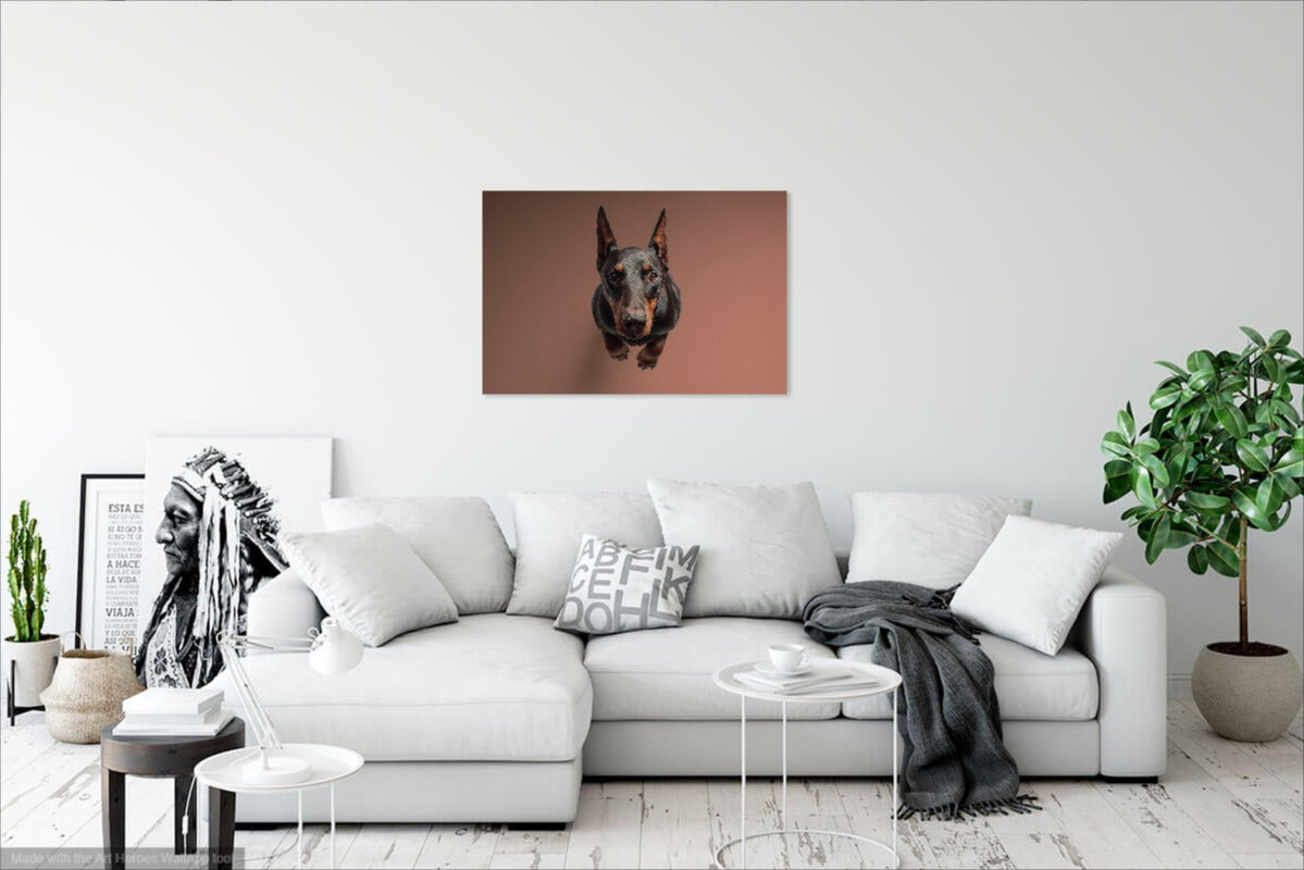 Portret Dobermana z Góry – Fotorealistyczny Obraz Ścienny