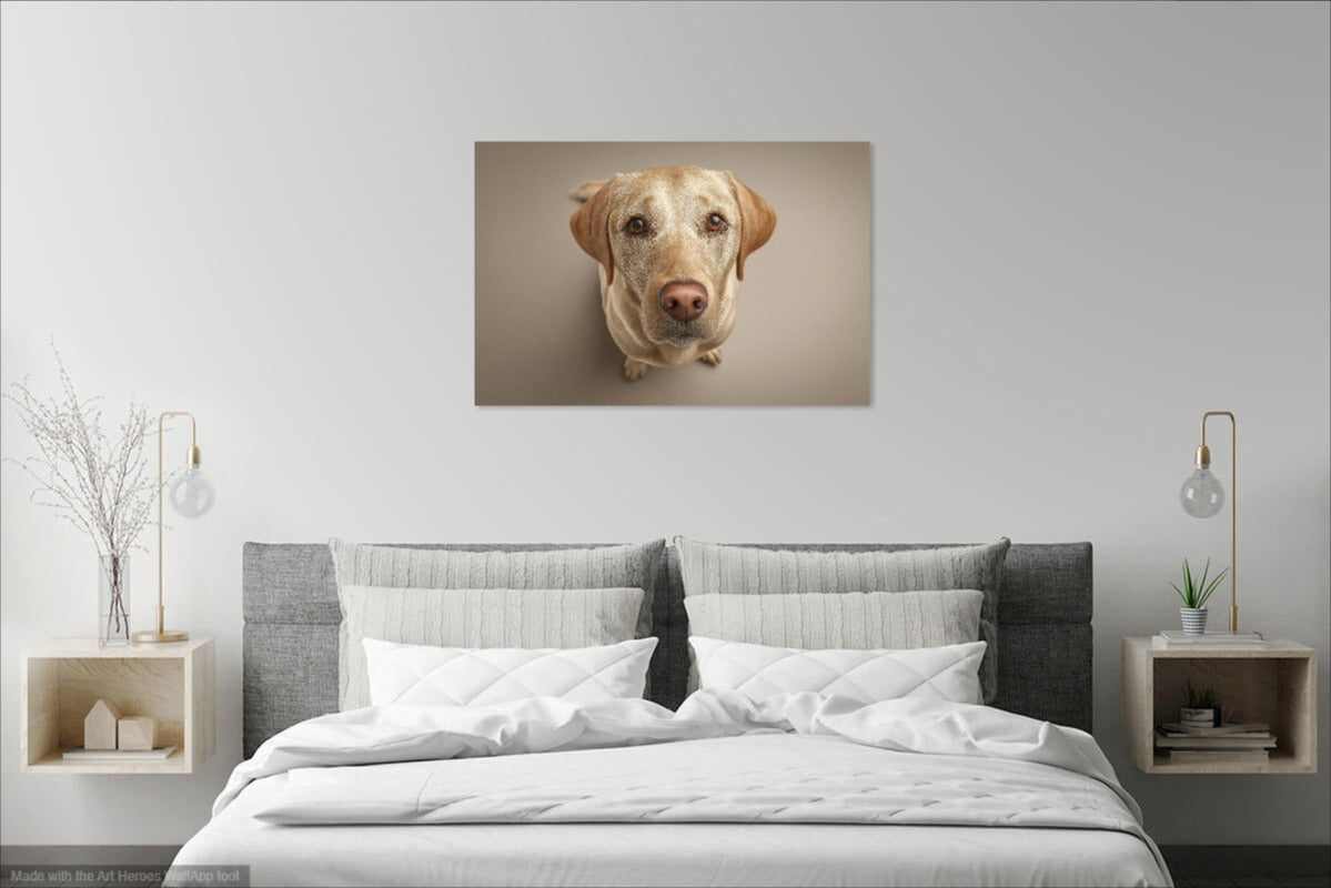 Fotorealistyczny Portret Żółtego Labradora – Obraz Do Nowoczesnego Wnętrza