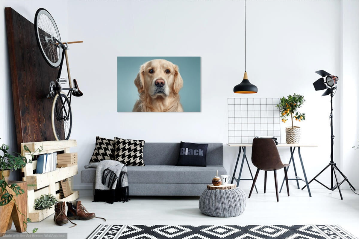 Golden Retriever Portret na Błękitnym Tle – Nowoczesny Obraz Psa do Dekoracji Wnętrz