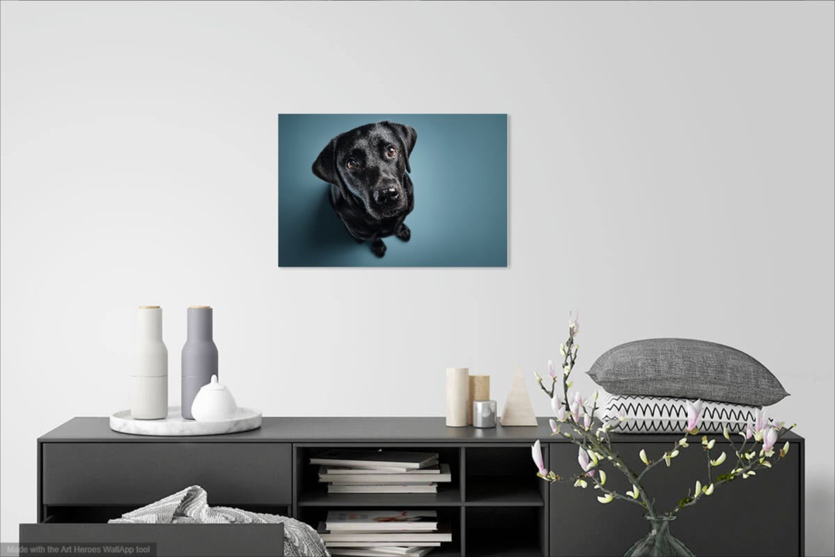 Fotorealistyczny Portret Czarnego Labradora – Wyjątkowa Dekoracja Ścienna