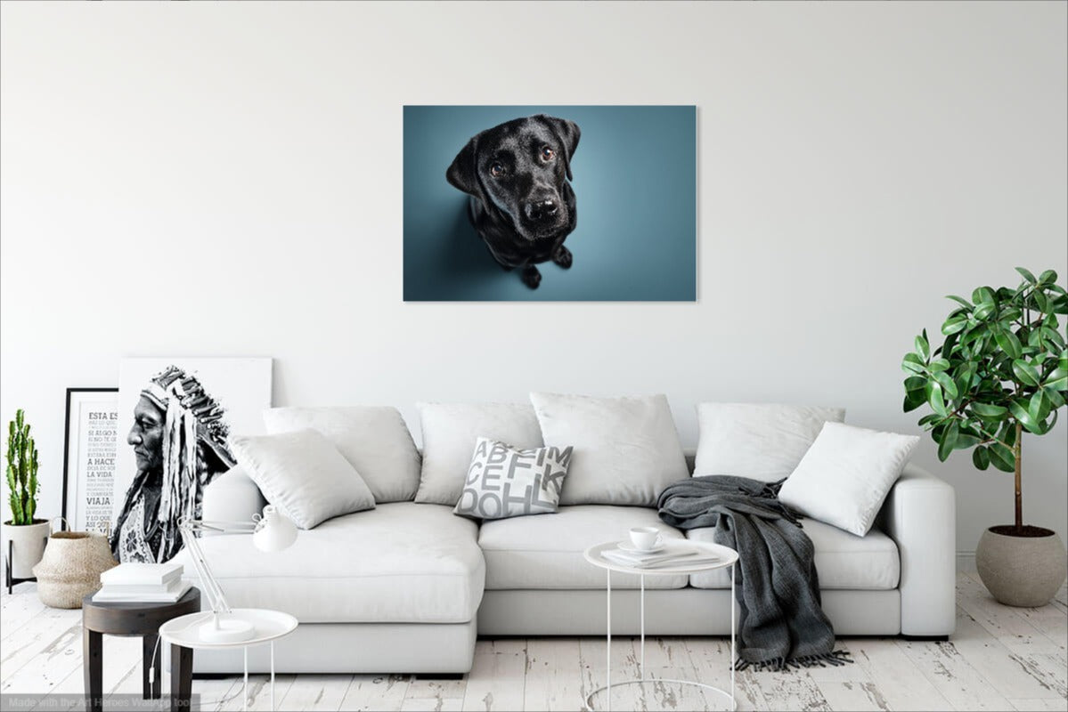 Fotorealistyczny Portret Czarnego Labradora – Wyjątkowa Dekoracja Ścienna