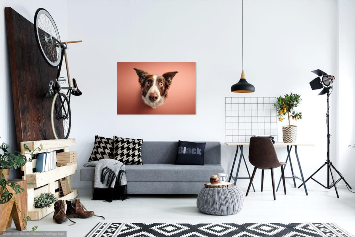 Spojrzenie Border Collie - Nowoczesny Obraz w Ciepłych Kolorach