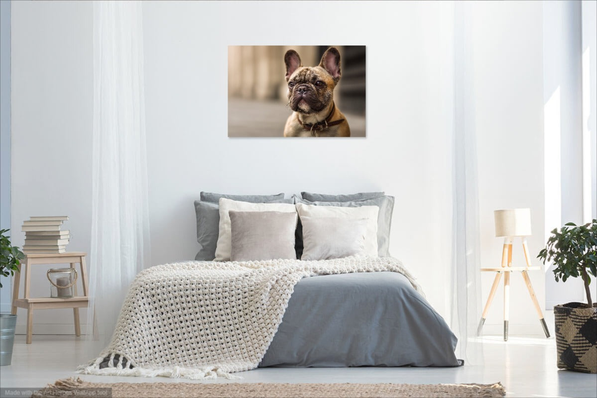 Klasyczny Portret Buldoga Francuskiego – Obraz do Wnętrz