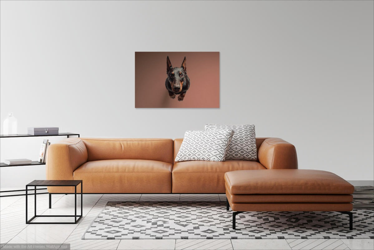 Portret Dobermana z Góry – Fotorealistyczny Obraz Ścienny