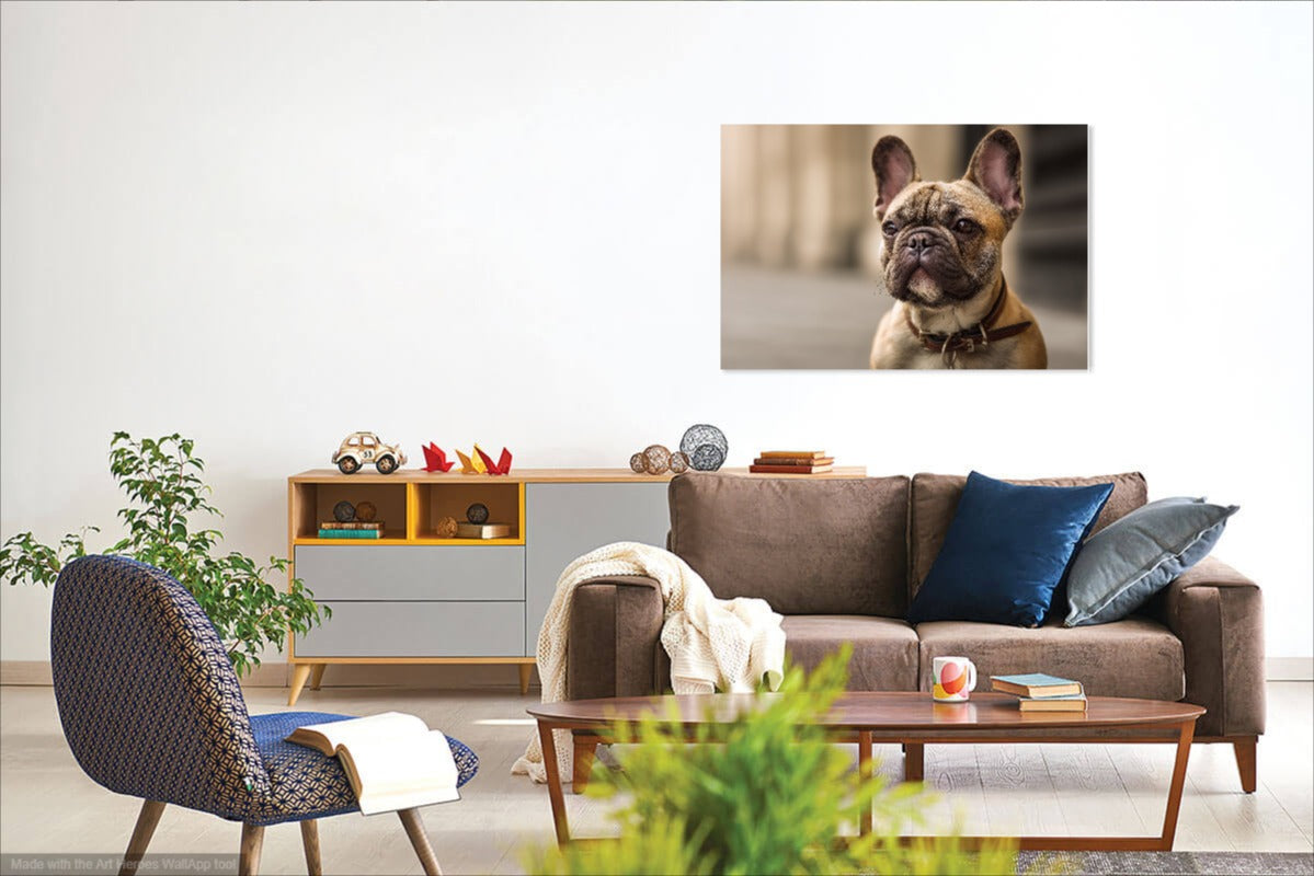 Klasyczny Portret Buldoga Francuskiego – Obraz do Wnętrz