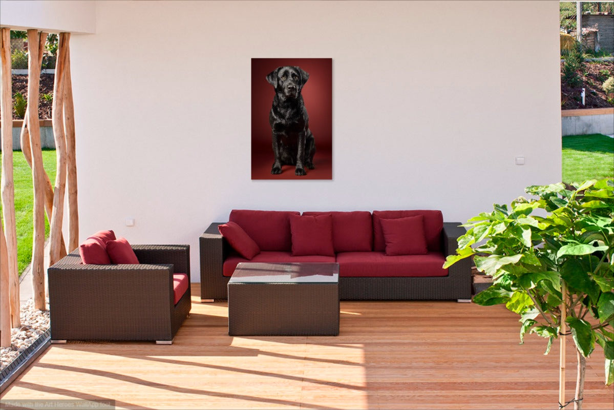 Czarny Labrador na Bordowym Tle – Elegancki Obraz do Salonu