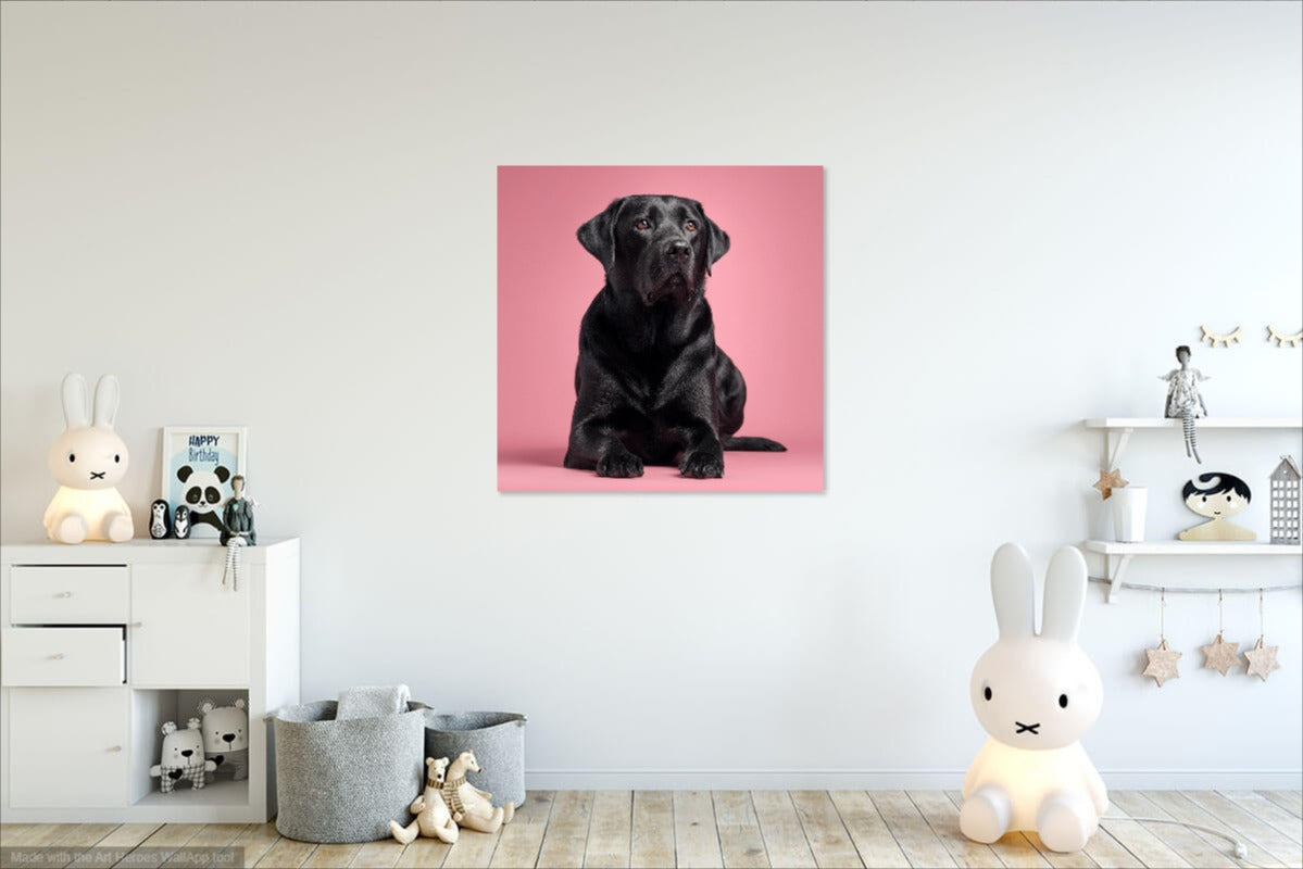 Czarny Labrador na Różowym Tle – Elegancki Obraz do Nowoczesnego Wnętrza