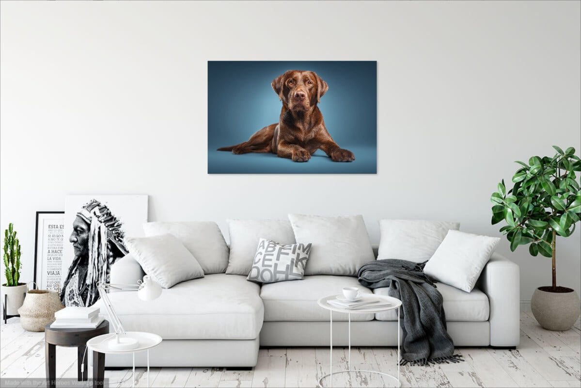 Czekoladowy Labrador na Błękitnym Tle – Dekoracja Ścienna z Psem