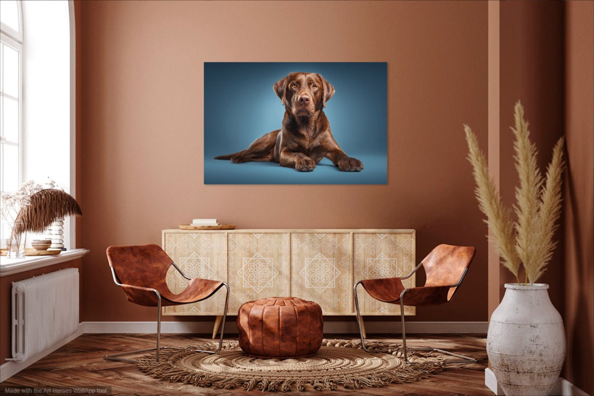 Czekoladowy Labrador na Błękitnym Tle – Dekoracja Ścienna z Psem