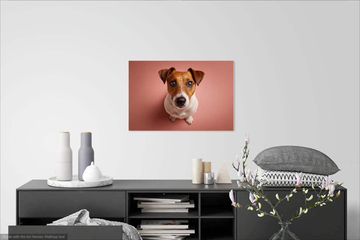 Jack Russell Terrier z Góry – Fotorealistyczny Portret Psa