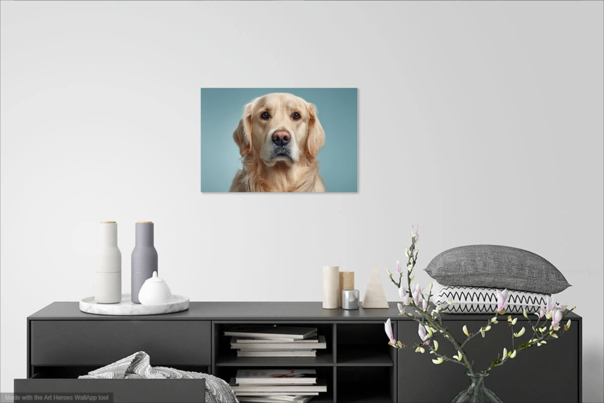 Golden Retriever Portret na Błękitnym Tle – Nowoczesny Obraz Psa do Dekoracji Wnętrz