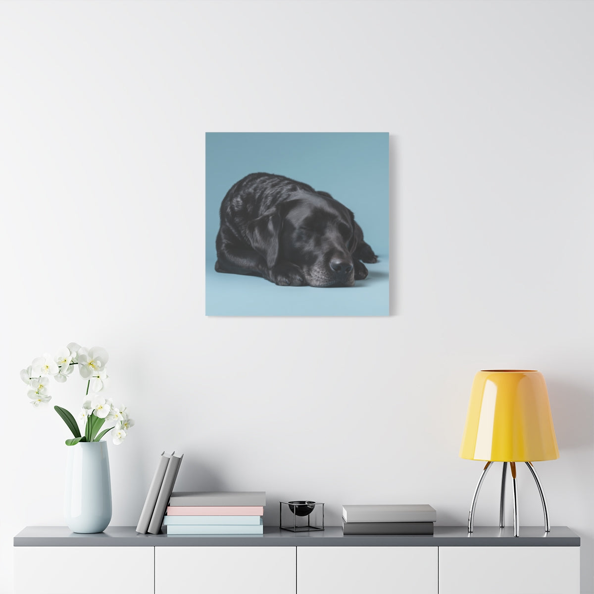 Śpiący Czarny Labrador na Błękitnym Tle – Obraz do Wnętrz