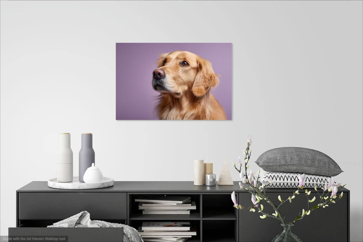 Golden Retriever na Fioletowym Tle – Elegancki Portret Psa do Dekoracji Ściennej